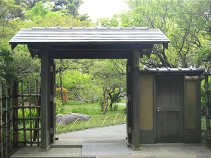 茅ヶ崎の庭園